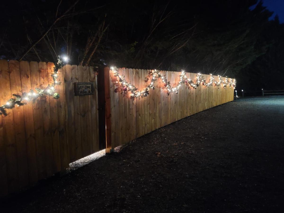 Smoky Mountain Cabin - Hot Tub - Fire Pit 머피 외부 사진
